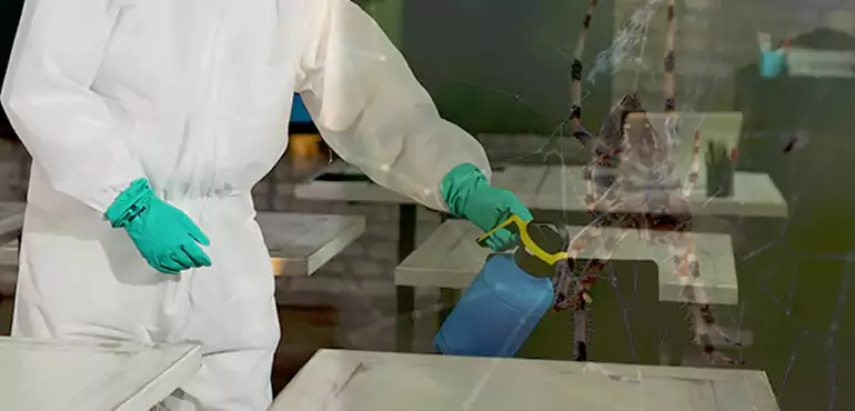 Why Buyers Still Want Homes With Pest Infestations in Washington, DC?