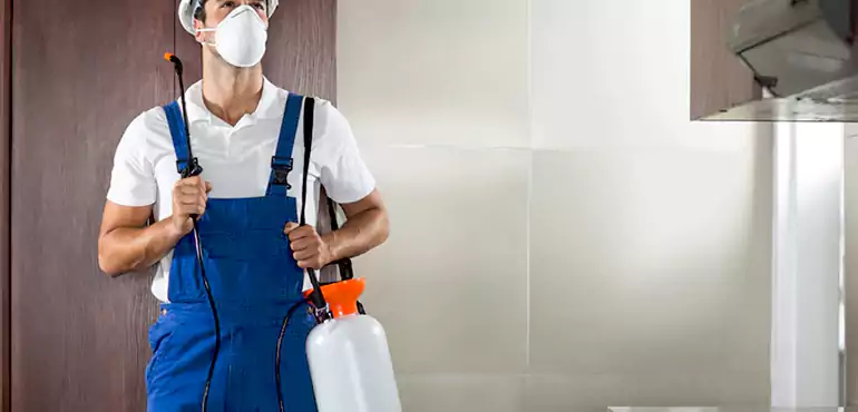 Why Washington Homeowners Choose Us When Pests Make Selling Difficult